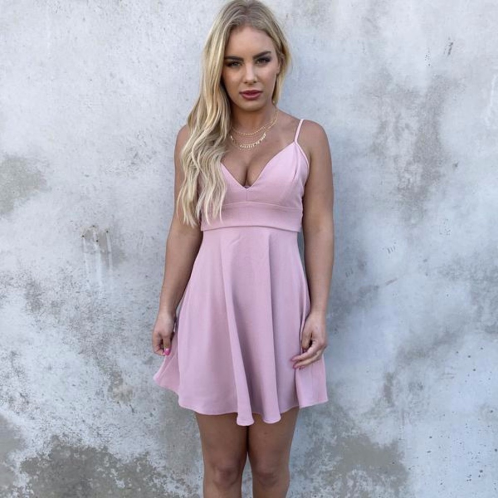 Love Affections Skater Dress in Blush Pink NWT